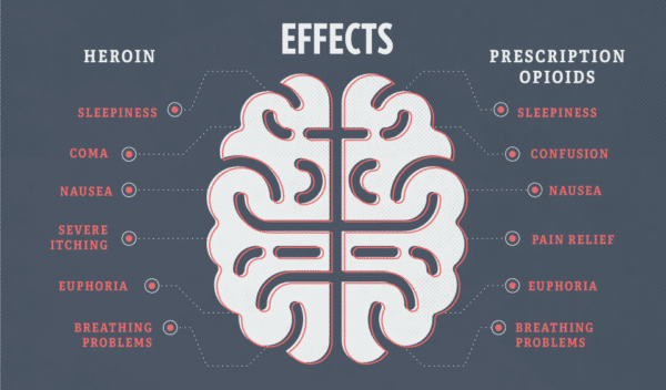 Infographic showing effects of heroin and prescription opioids