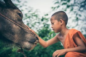 Why is Compassion Important for Addiction Recovery?