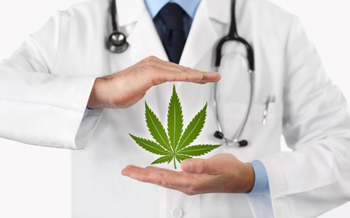 Has Marijuana Legalization Led to More Addiction?