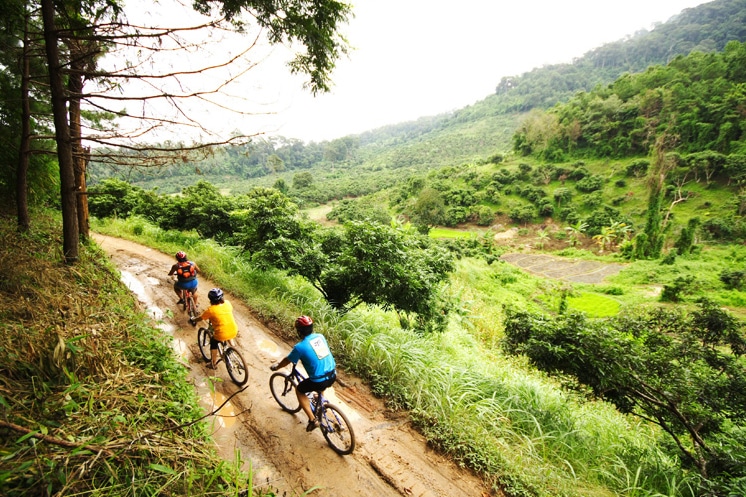 Bike Tour