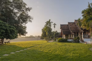 The Dawn pavilion surrounded by lush lawns and palm trees at sunrise overlooking the river.